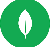 MongoDB
